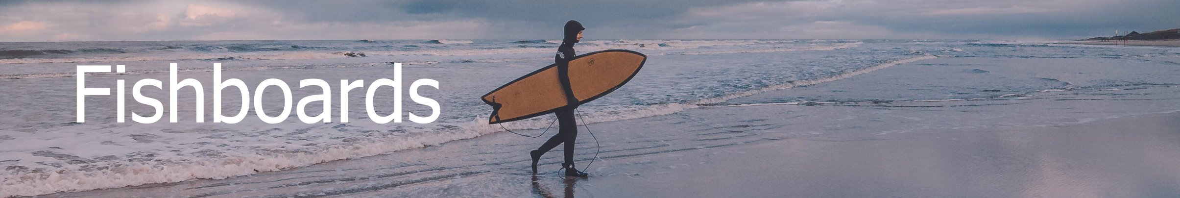 Fish surfboard buy online surfshop header
