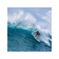 Surfboard TORQ Epoxy TET 7.8 V+ Funboard Navy Pinlines blau