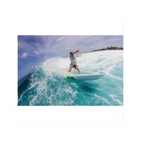 Surfboard TORQ Epoxy TET 6.6 Fish Pinlines white