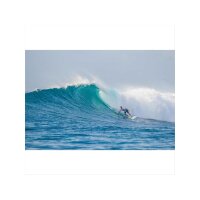 Surfboard TORQ Epoxy TET 8.0 Longboard Pinlines weiß