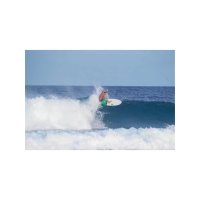 Surfboard TORQ Epoxy TET 7.2 Fish Pinlines white